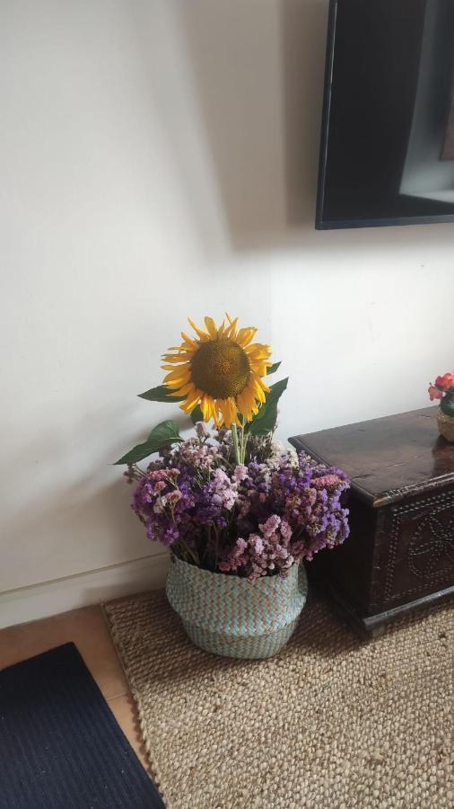 El Rinconin Del Sueve Villa San Martin de Valles Dış mekan fotoğraf